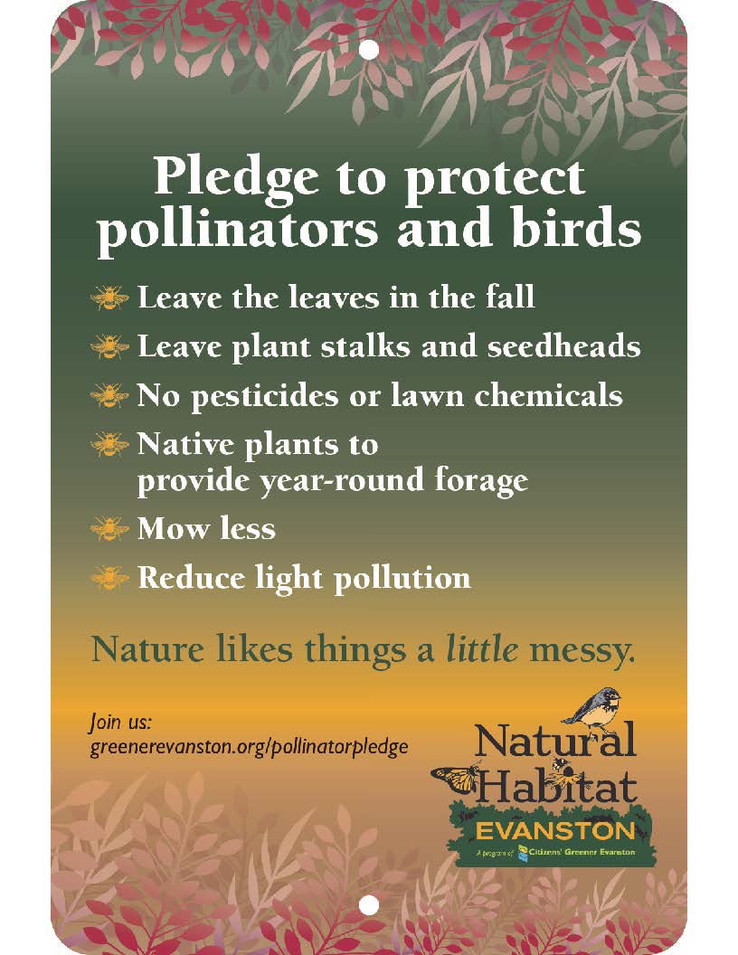 pledge Green with tall prairie grasses